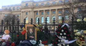 Galerie foto - poza 2