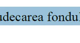 Galerie foto - poza 4