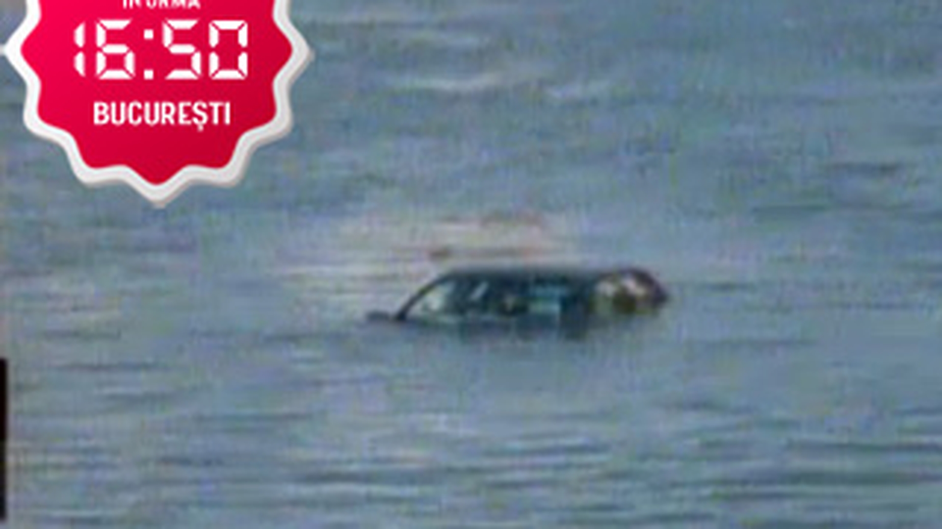 Un tanar a cazut cu masina in Dambovita