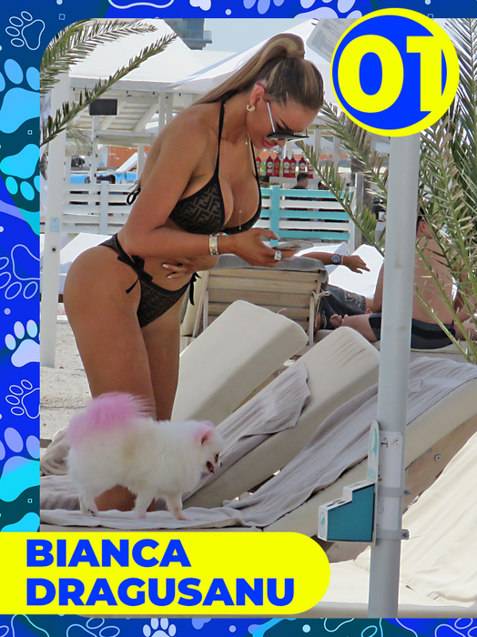 Top 25 vedete care și-au etalat costumele de baie, dar cățeii lor au făcut senzaţie! Delia, Bianca Drăgușanu sau Lora, eclipsate de patrupezi la malul mării