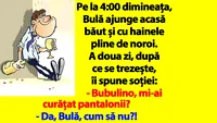 BANC | Pe la 4:00 dimineața, Bulă ajunge acasă băut și cu hainele pline de noroi