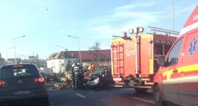 Galerie foto - poza 2