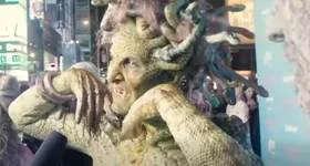 Galerie foto - poza 2