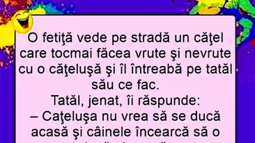 BANC | Tatăl, fetița și cei doi căței