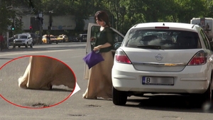 Oana Sarbu, neagra de suparare! Si-a calcat fusta in picioare si nici nu si-a dat seama!