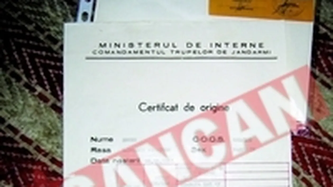 Dick, ultimul descendent al labradorilor lui nea Nicu