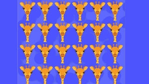 Test de logică | Care dintre cele 24 de girafe este diferită de celelalte 23?