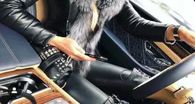 Galerie foto - poza 4