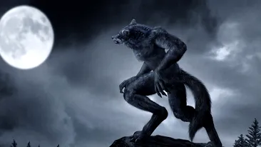 Asta le intrece pe toate! O brasoveanca a divortat pentru ca sotul ei era varcolac si ataca animalele la miezul noptii