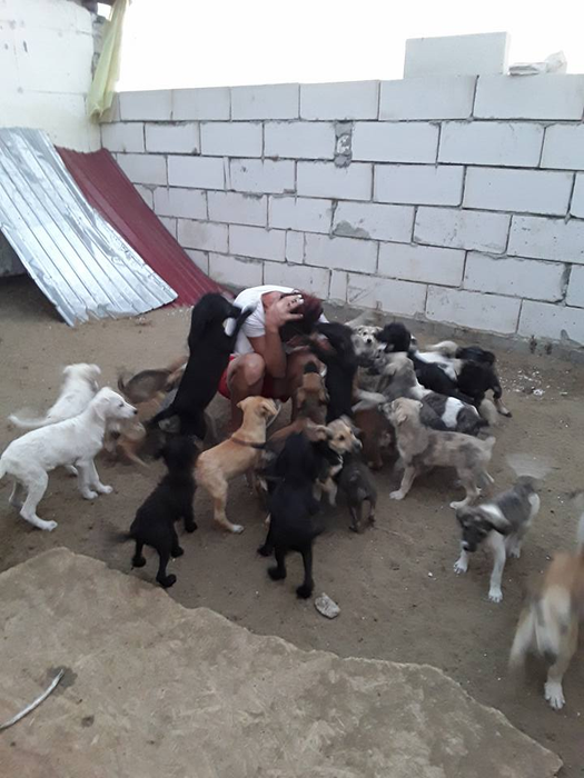 Daniela Popovici a ajuns să îngrijească de 400 de câini