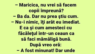 BANCUL ZILEI | Maricica, nu vrei să facem copii împreună?
