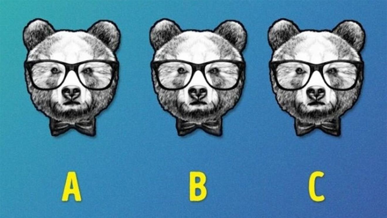 Test de logică | Care urs este diferit de ceilalți doi?