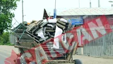 Au plantat flori la groapa de gunoi de la Glina