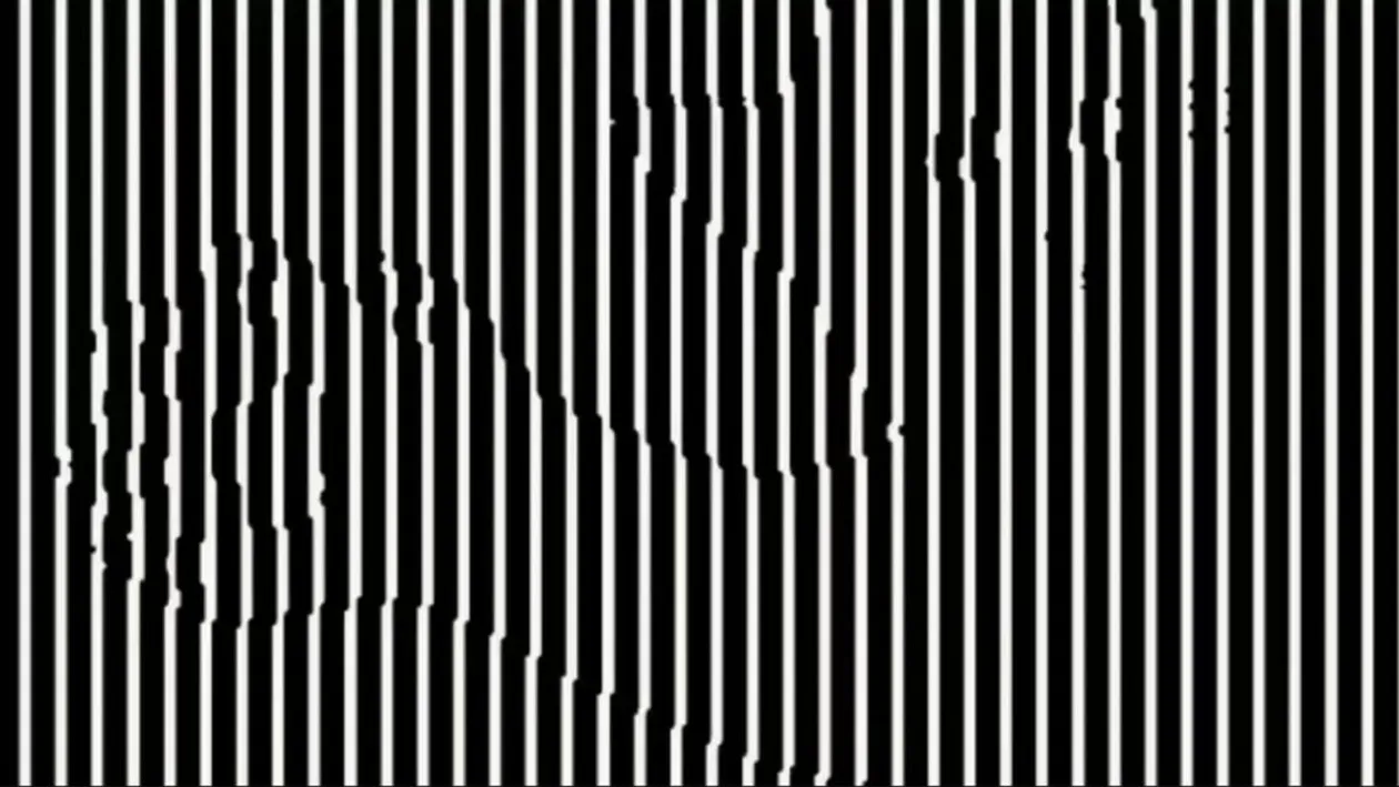 Iluzie optică virală | Numiți animalul care se ascunde în această fotografie