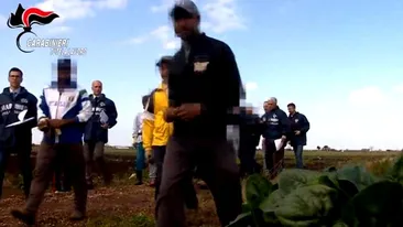 Coșmarul unei românce care a fost exploatată la muncă în Italia: ”Dacă aș fi știut că asta e viața în Italia, nu aș fi venit”