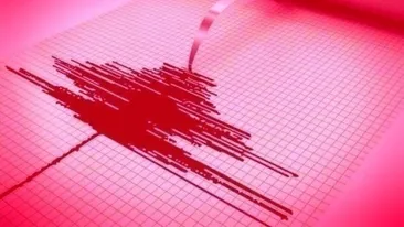 Cutremur de 4.5 grade în România. În ce localități s-a resimțit