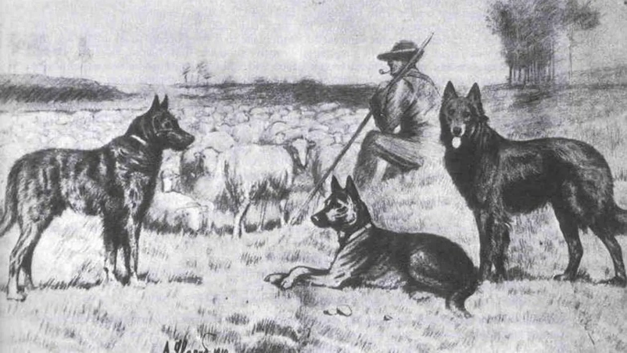 Animale interbelice, ep. 1 – Mircea Vulcănescu și Ion Barbu