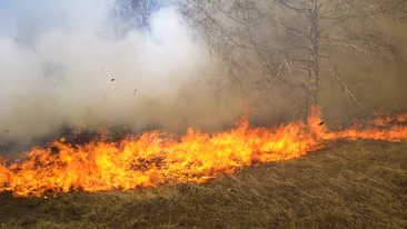 Incendiu puternic la Iași! Este afectată o suprafață de 50 de hectare de vegetație uscată, la mică distanță de locuințe
