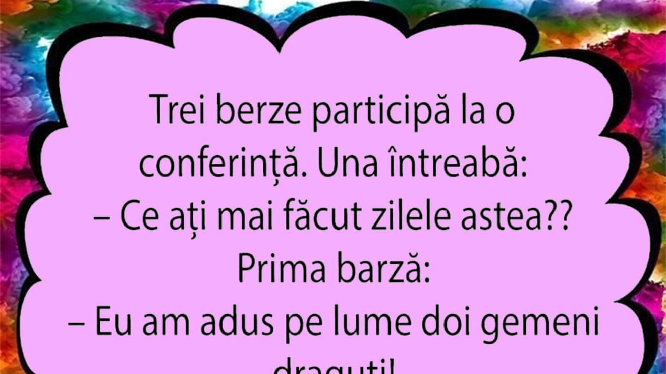 Bancul dimineții | Trei berze participă la o conferință