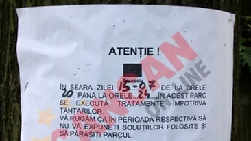 Tantarul-tigru ataca Romania