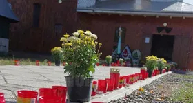 Galerie foto - poza 2