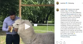 Galerie foto - poza 3