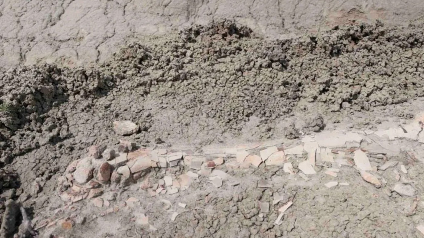 Descoperire rarisimă în istoria omenirii. Ce au găsit acești 3 copii, pe un deal