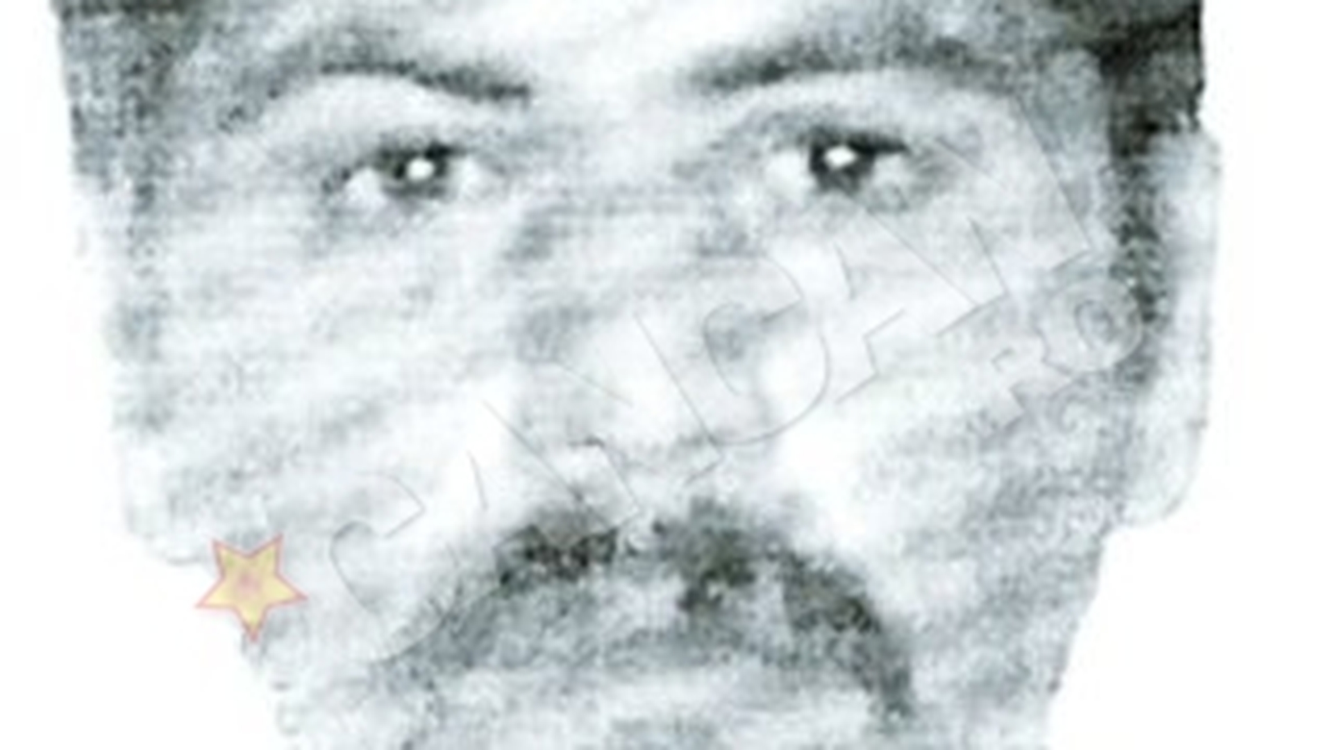 Noe Rostas, bihoreanul care terorizeaza Dublinul. Roman, criminal in serie, cautat in Irlanda