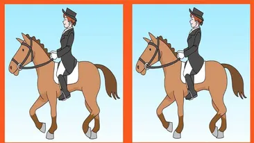 Test de perspicacitate | 3 diferențe în maximum 31 de secunde: Le puteți identifica pe toate?