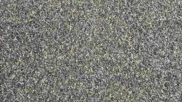 Test de inteligență | 98% din oameni nu văd unde se ascunde mina de creion din această poză