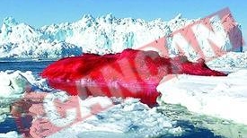 Vrea sa picteze Mont-Blanc in rosu