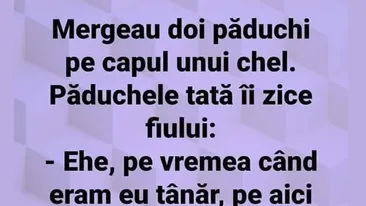 Bancul de weekend | Mergeau doi păduchi pe capul unui chel