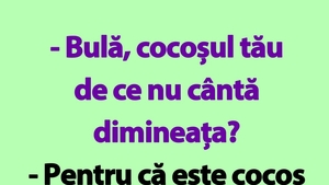 BANC | De ce nu cântă cocoșul lui Bulă, de fapt