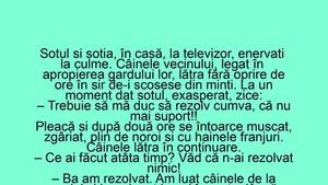 BANC | Soțul și nevasta stau în casă, la televizor, enervați la culme de câinele vecinilor