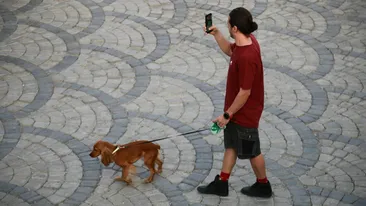 De ce a interzis Iranul plimbatul câinilor în spațiile publice. Acum autoritățile extind măsura