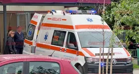 Galerie foto - poza 3