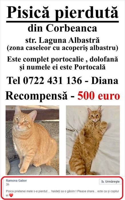 Monica Gabor, strigăt de ajutor pe Facebook! Ce veste tristă a primit vedeta