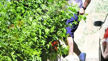 E mare fan al saloanelor de infrumusetare! Metrosexualul Enache