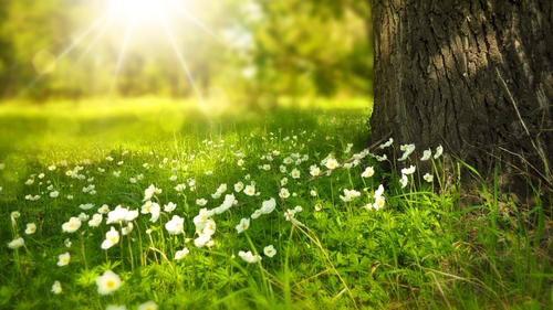 ANM a dat vestea așteptată de toți românii. Săptămâna viitoare vor fi temperaturi de 24 de grade Celsius