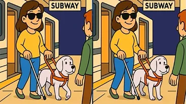 Test de perspicacitate | Ești un geniu dacă poți găsi toate cele 3 diferențe în maximum 33 de secunde