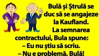 BANC | Bulă și Ștrulă se duc să se angajeze la Kaufland