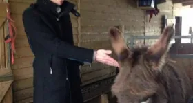 Galerie foto - poza 1