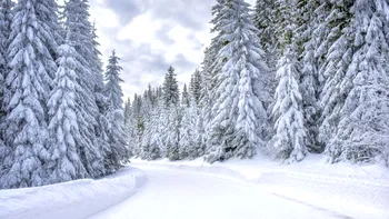 Cod galben de ger în România! Zonele în care ciclonul aduce ninsori, viscol și temperaturi de -20 de grade Celsius de azi