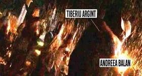 Galerie foto - poza 2