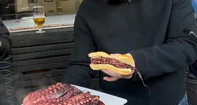 Galerie foto - poza 3