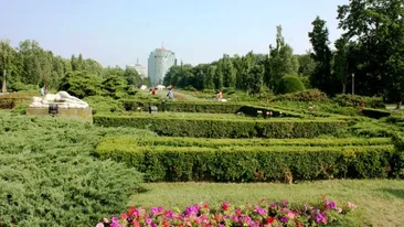 Ce se intampla ACUM in Parcul Herastrau! Schimbarea URIASA pe care nimeni nu o intuia