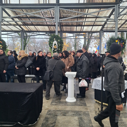 Imagine Galerie #3