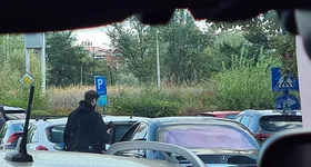 Galerie foto - poza 1