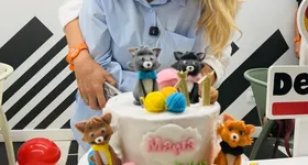 Galerie foto - poza 2