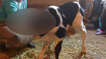 A venit pe lume cu o zi inainte de REVELION si a ingrozit pe toata lumea! CUM arata creatura pe care toti se inghesuie sa o vada